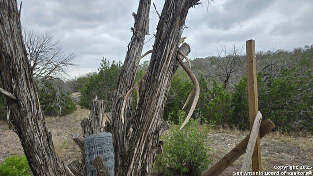 54 acres in Edwards County - photo 6