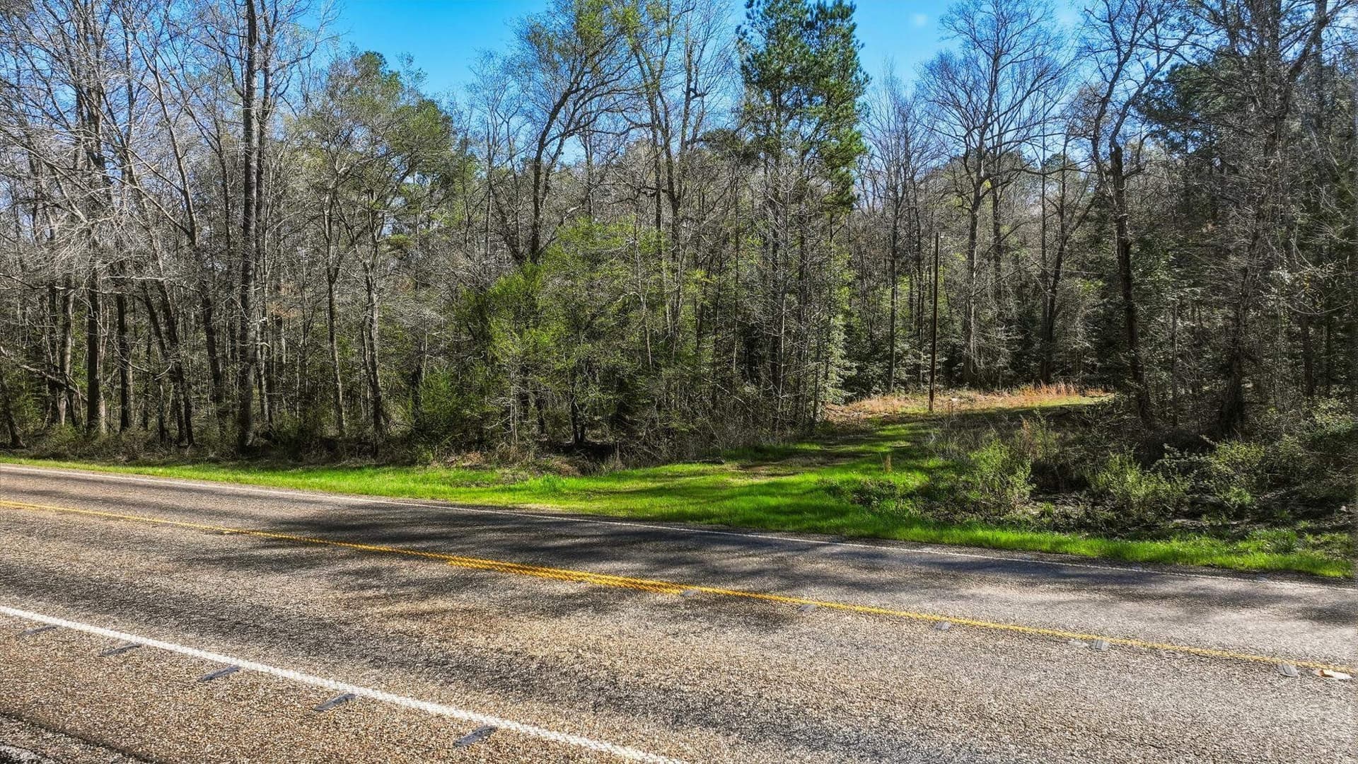 16.99 acres in Cass County - photo 5