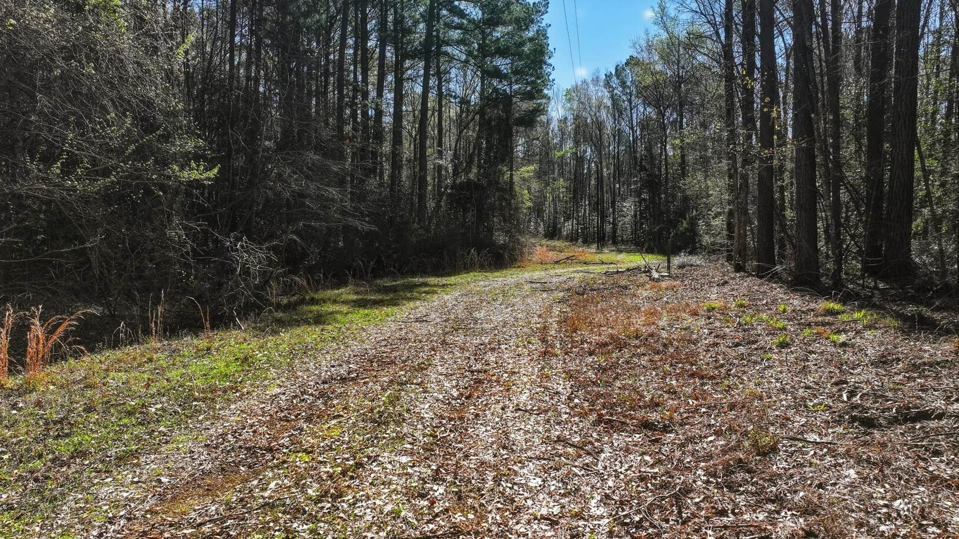 16.99 acres in Cass County - photo 6