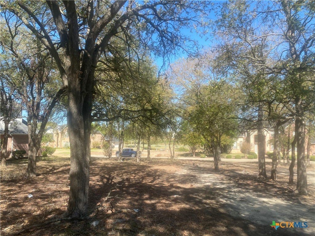0.33 acres in Bell County - photo 4