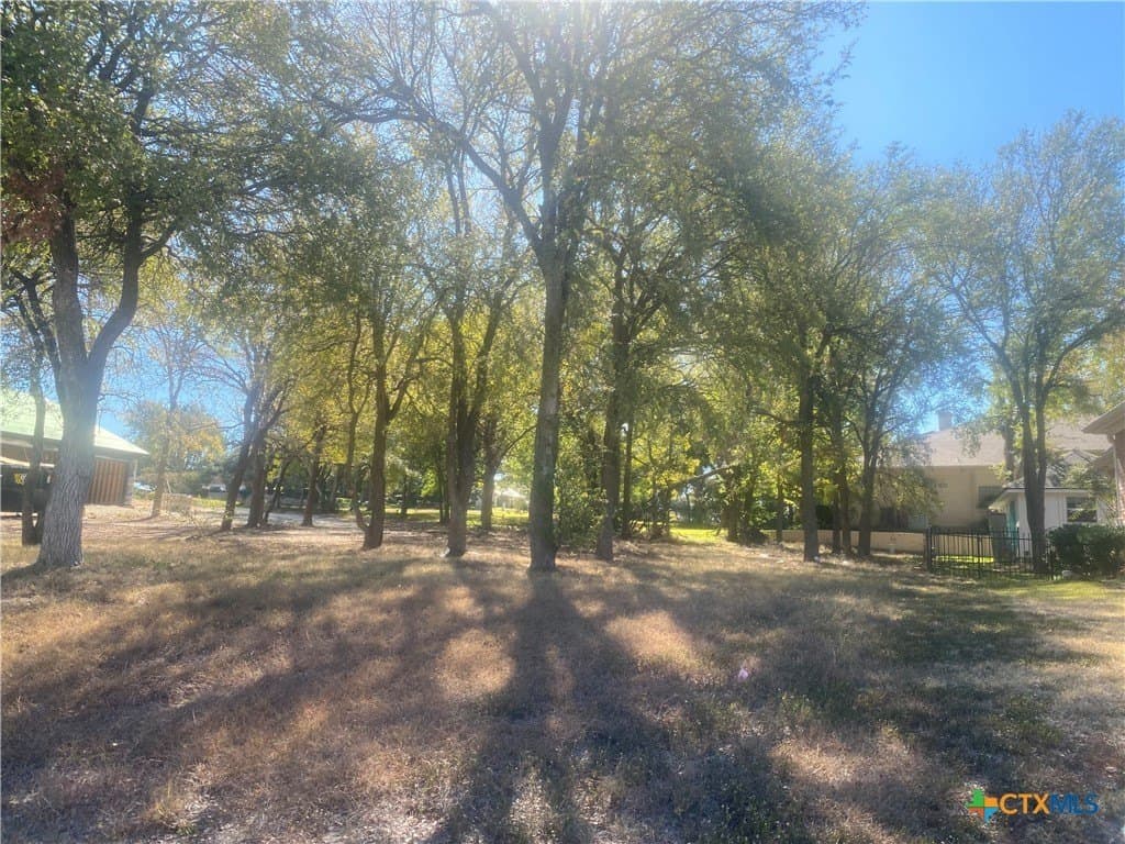 0.33 acres in Bell County - photo 2
