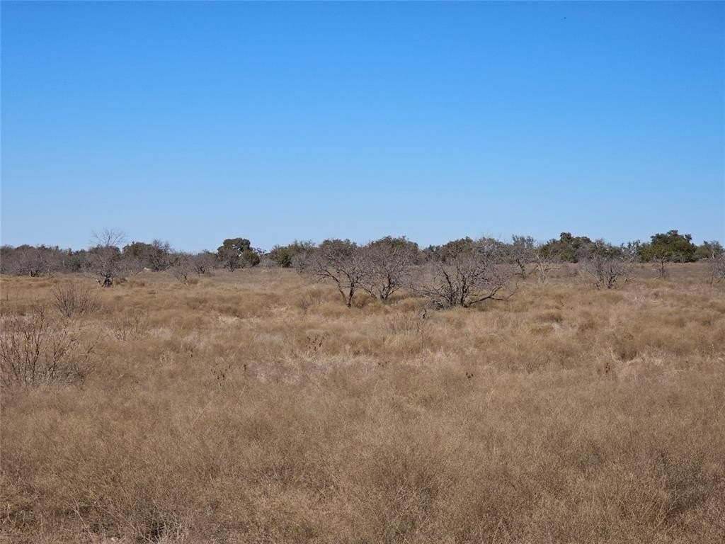 10.01 acres in Comanche County - photo 10