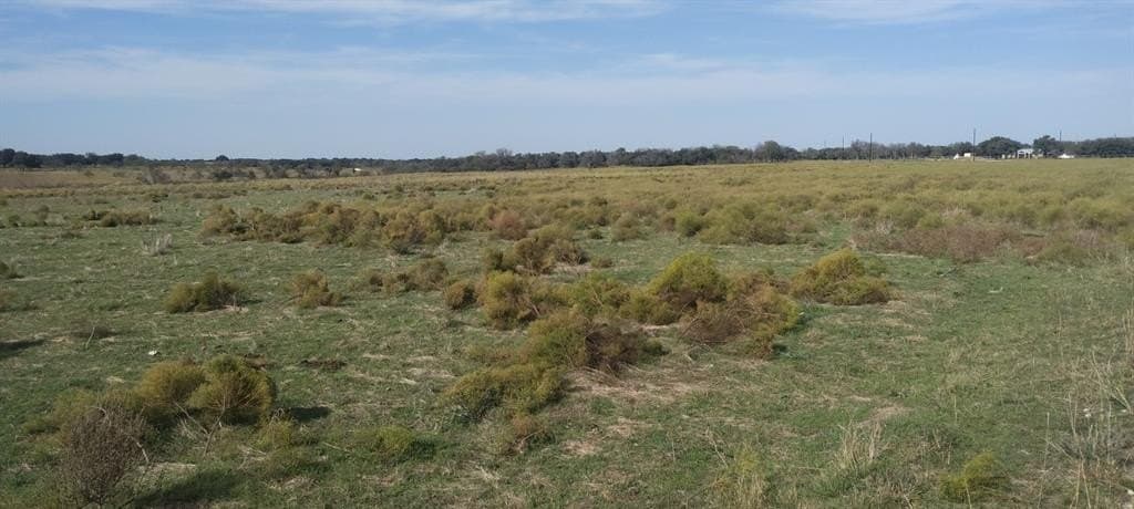 10.01 acres in Comanche County - photo 4