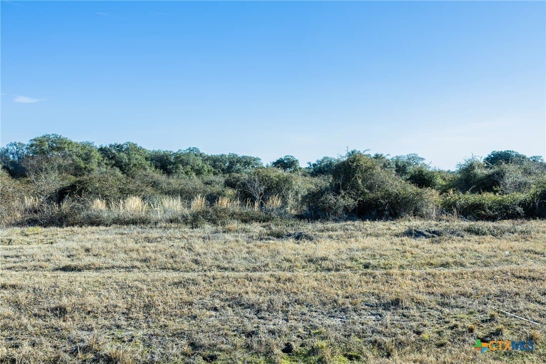 6 acres in Victoria County - photo 7