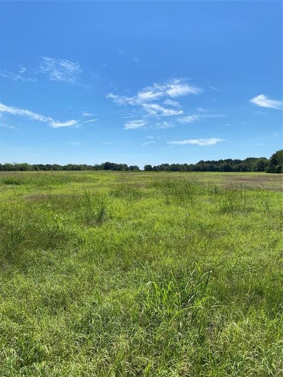 2.71 acres in Hopkins County - photo 4