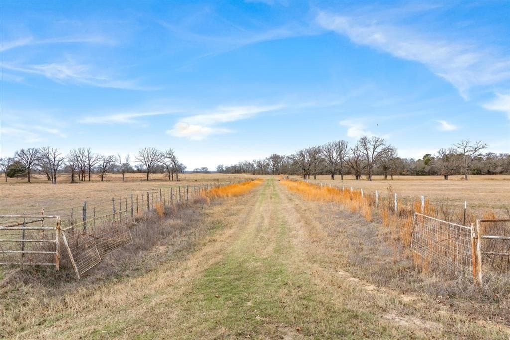 74.06 acres in Wood County - photo 10