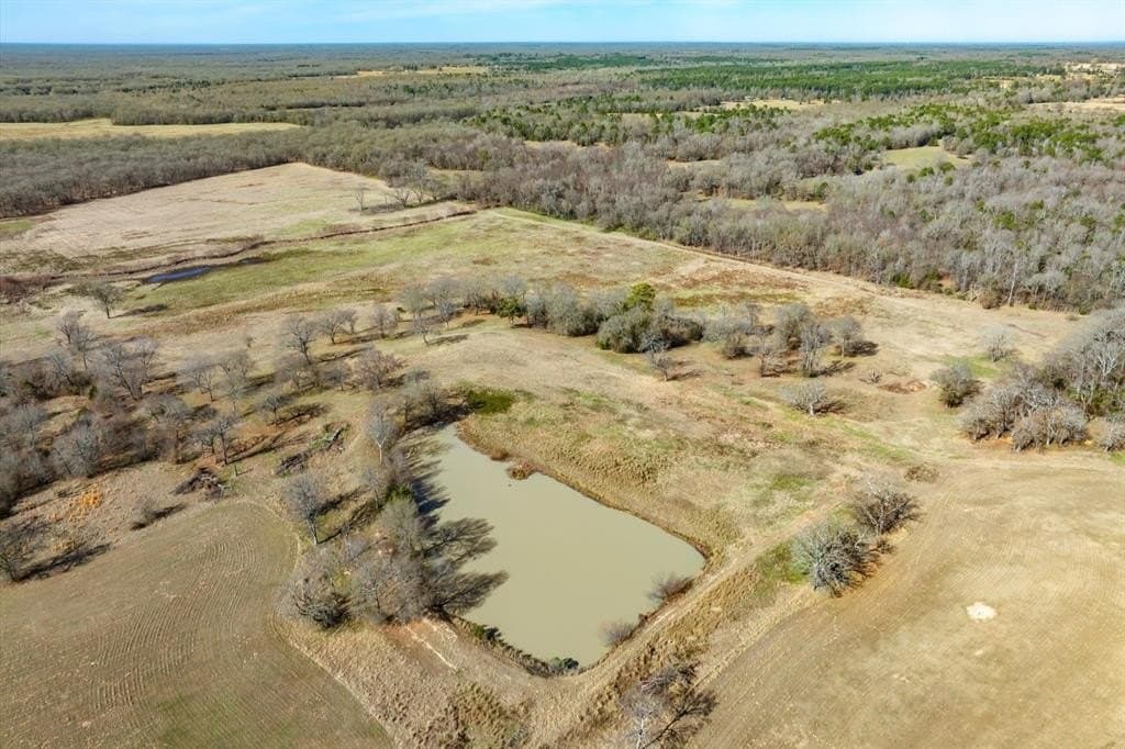 74.06 acres in Wood County - photo 16
