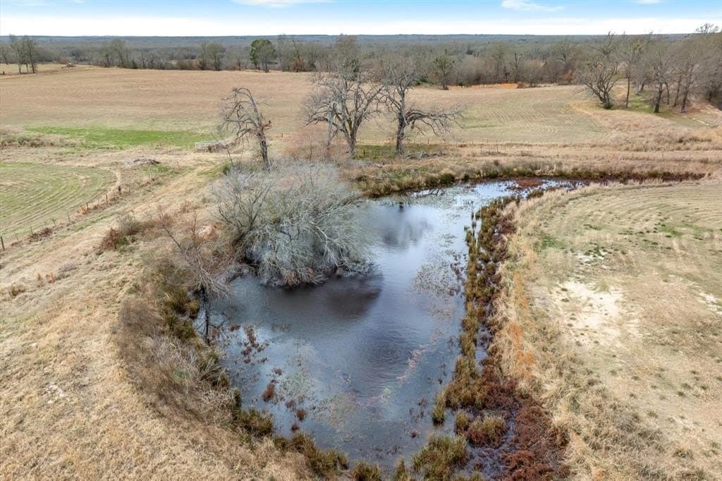 74.06 acres in Wood County - photo 21