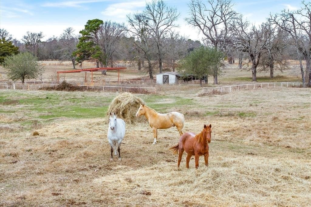 74.06 acres in Wood County - photo 4