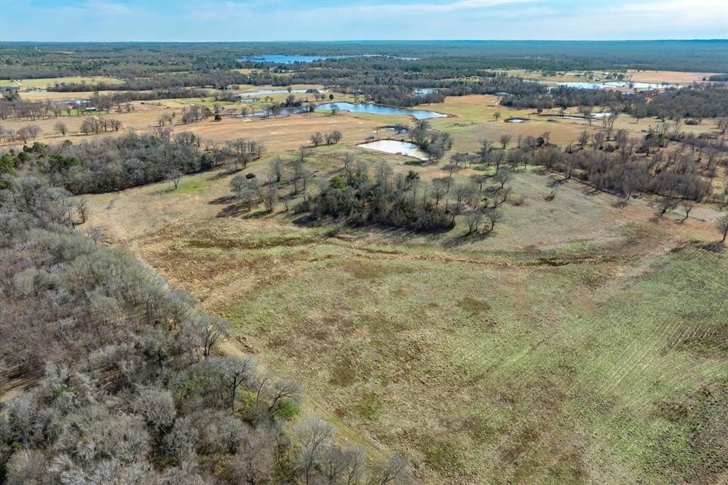 74.06 acres in Wood County - photo 36