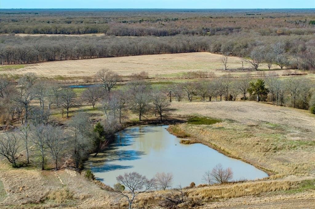 74.06 acres in Wood County - photo 3