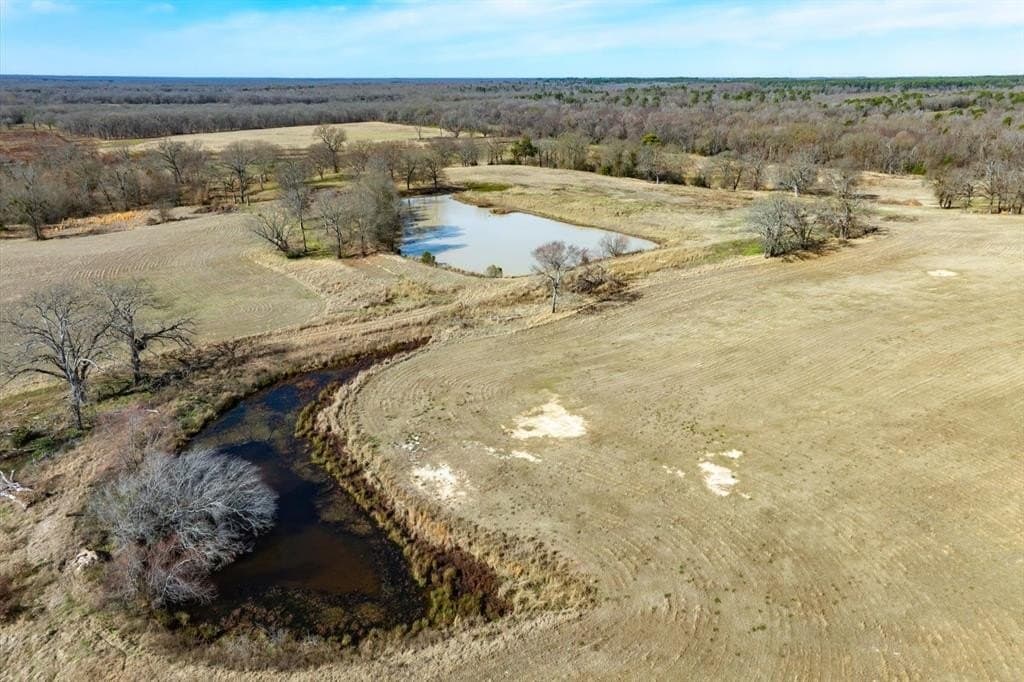 74.06 acres in Wood County - photo 13
