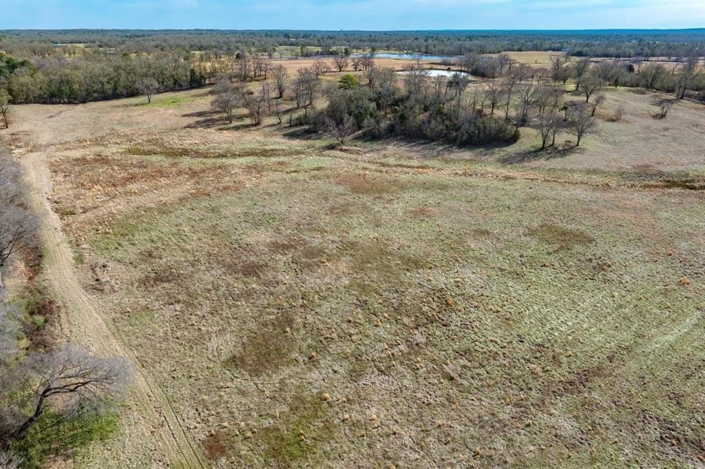74.06 acres in Wood County - photo 37