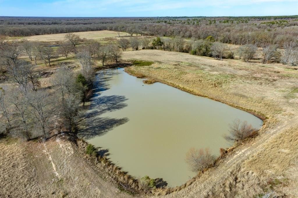 74.06 acres in Wood County - photo 15
