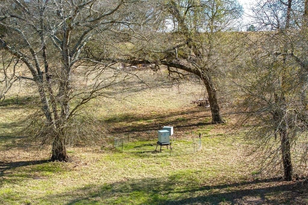 74.06 acres in Wood County - photo 11