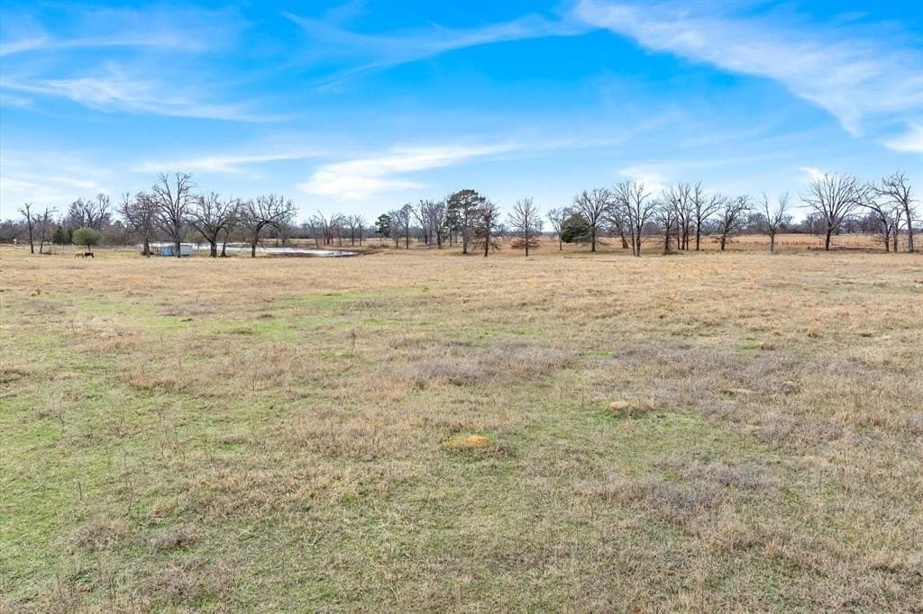 74.06 acres in Wood County - photo 28