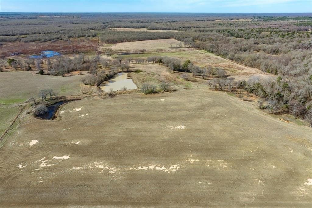 74.06 acres in Wood County - photo 32