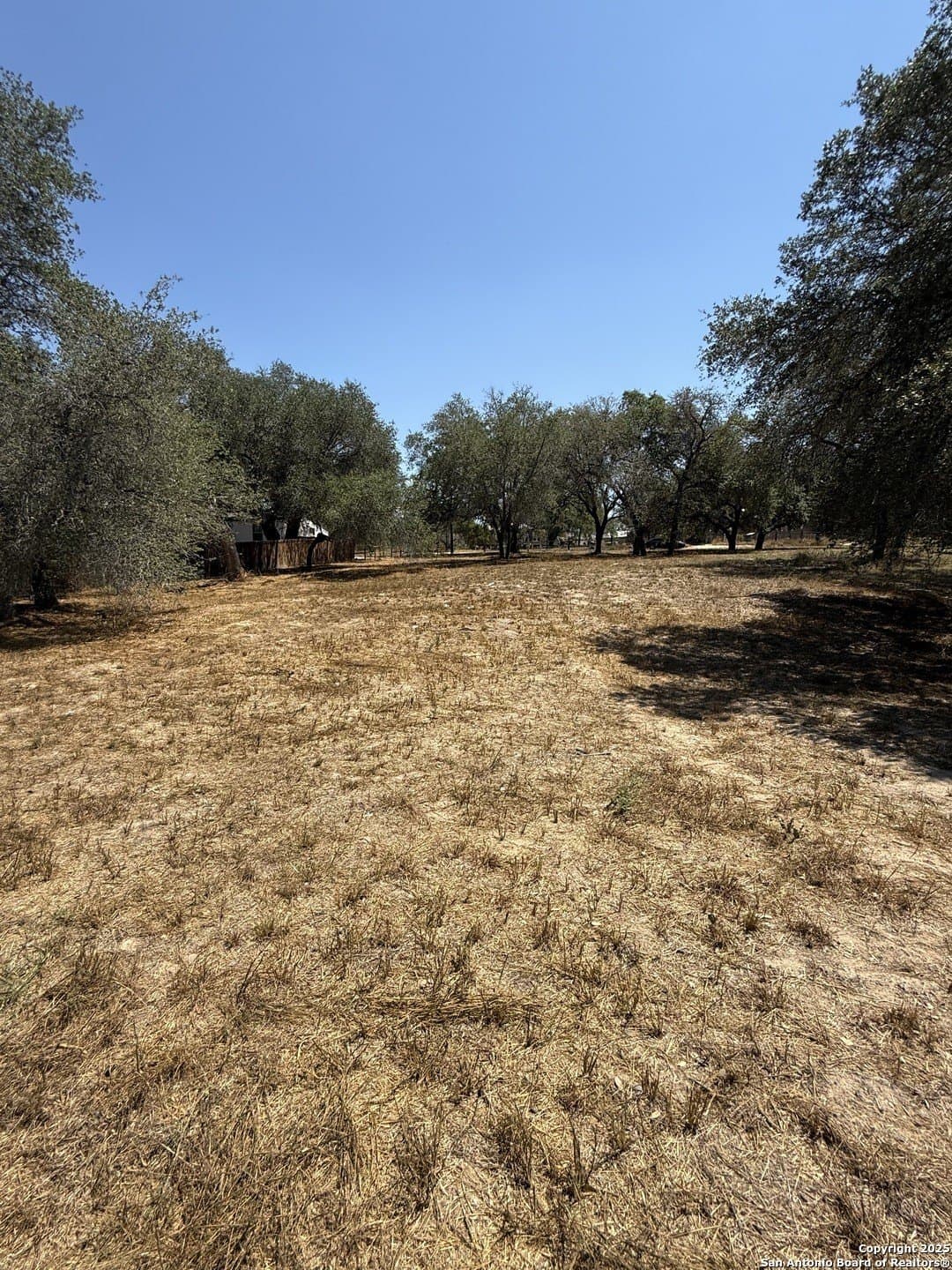 0.54 acres in Bexar County - photo 3
