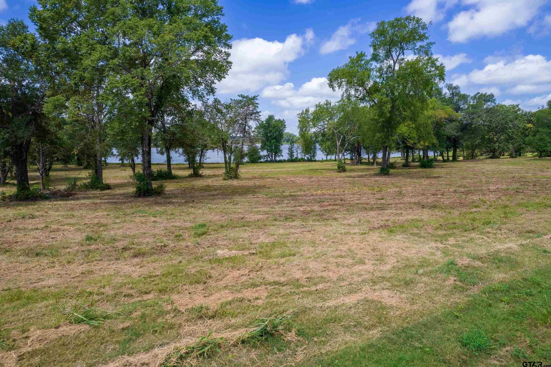 1.03 acres in Titus County - photo 3