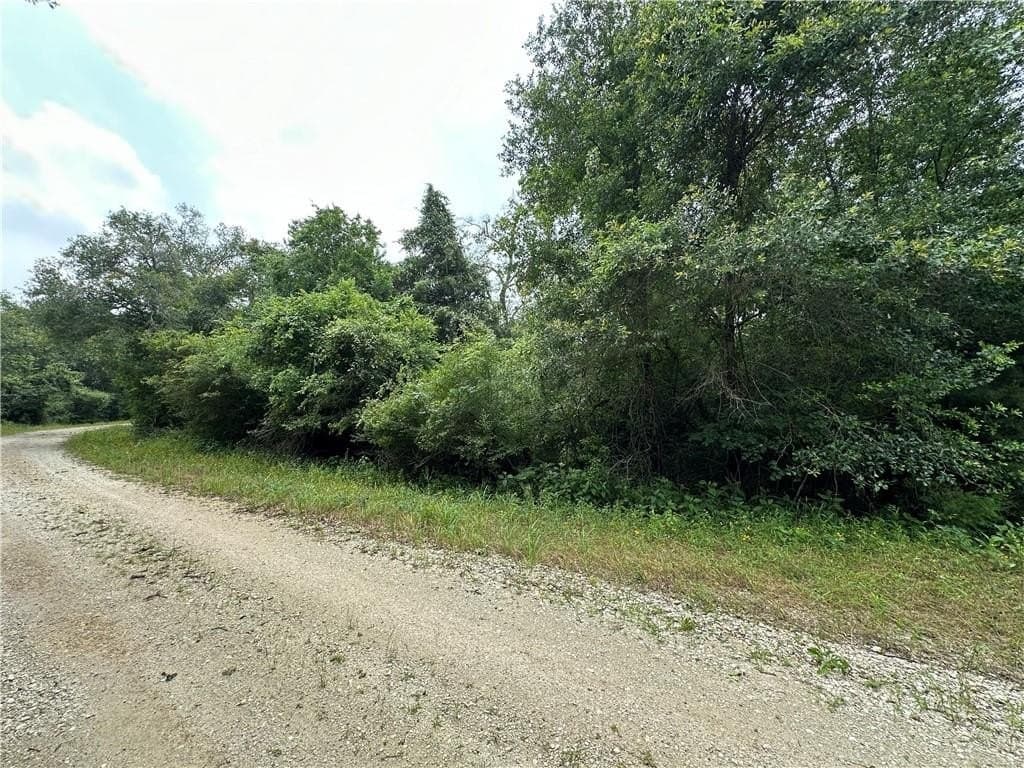 17.6 acres in Limestone County - photo 3