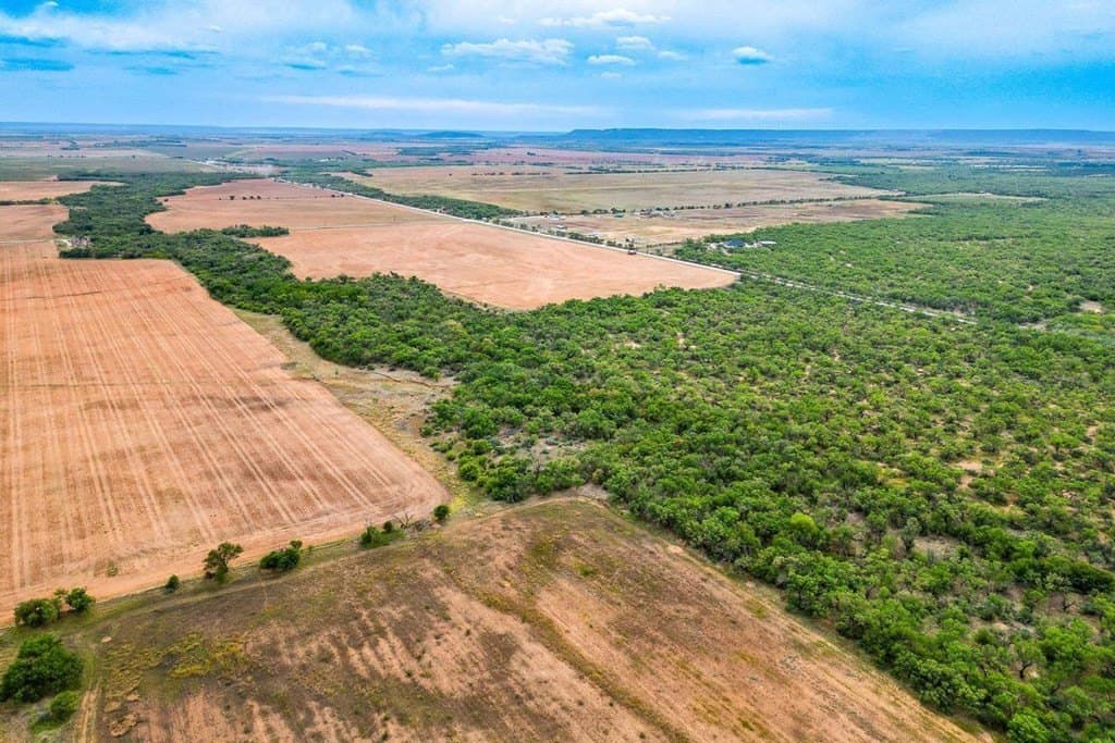 86.68 acres in Nolan County - photo 10