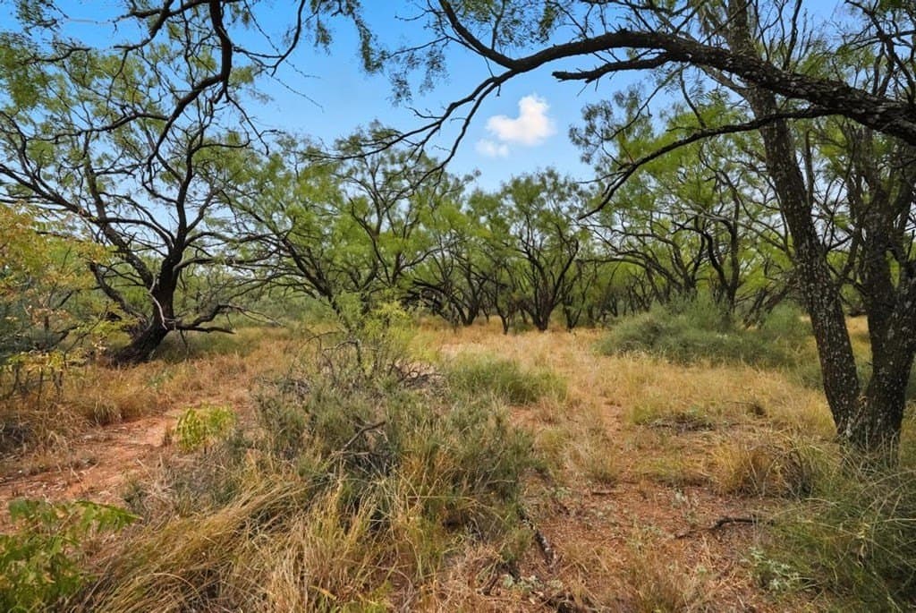 86.68 acres in Nolan County - photo 22