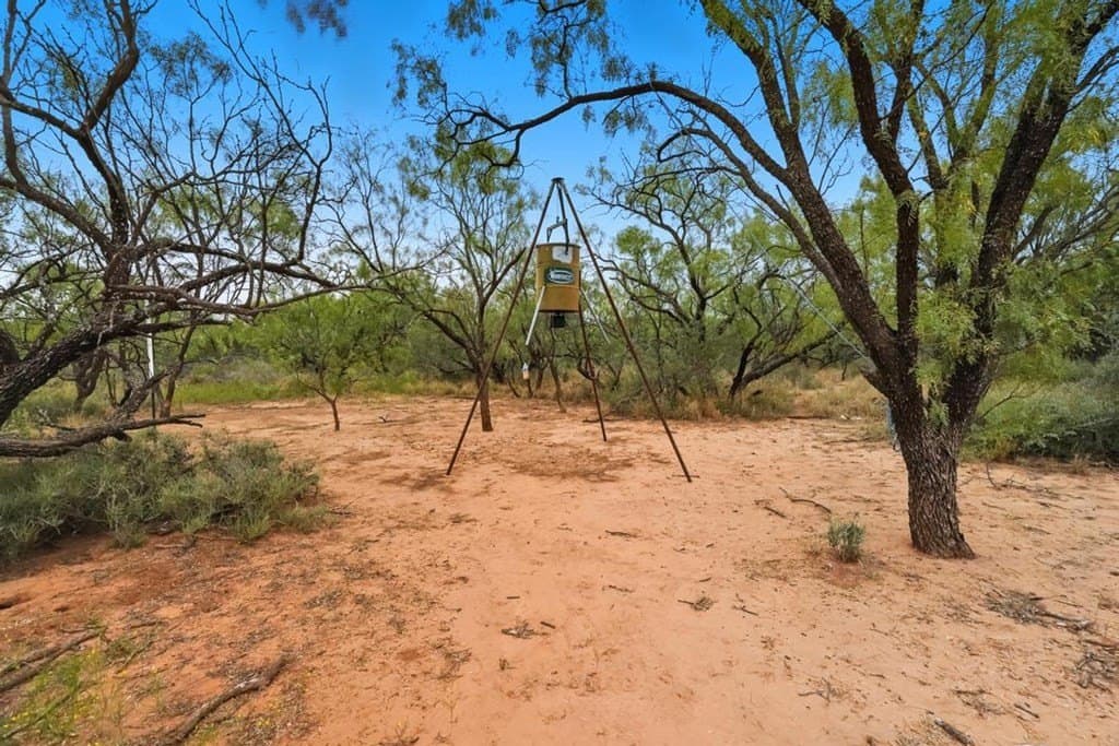 86.68 acres in Nolan County - photo 4