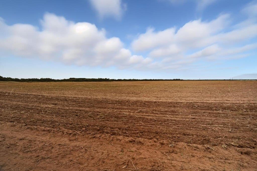 86.68 acres in Nolan County - photo 7