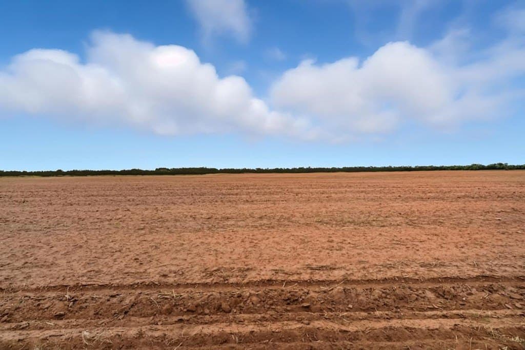 86.68 acres in Nolan County - photo 9