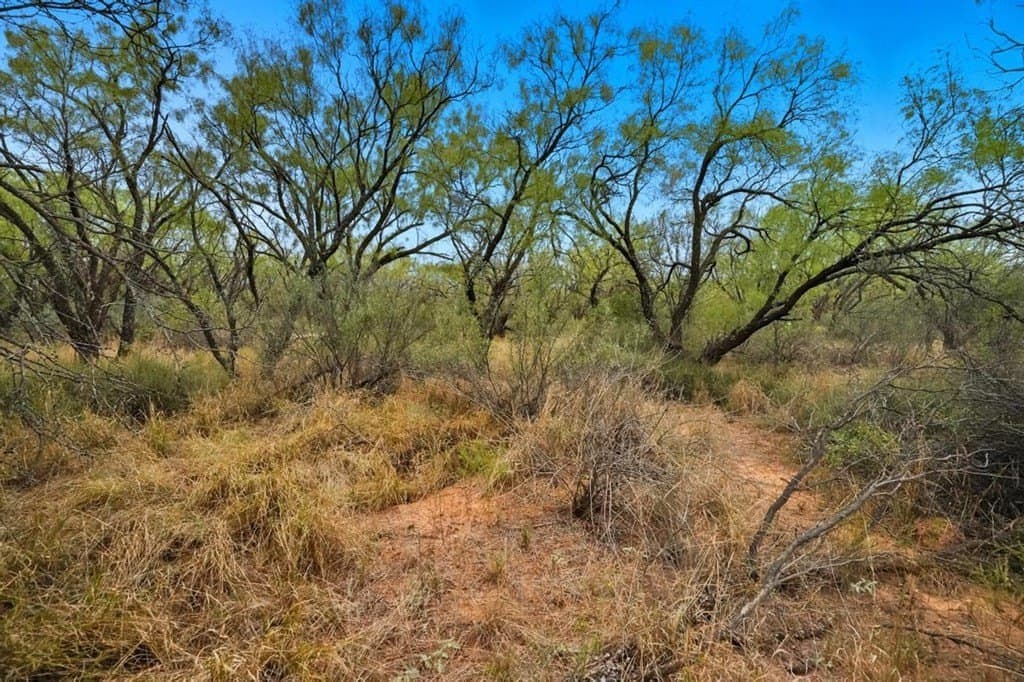 86.68 acres in Nolan County - photo 3