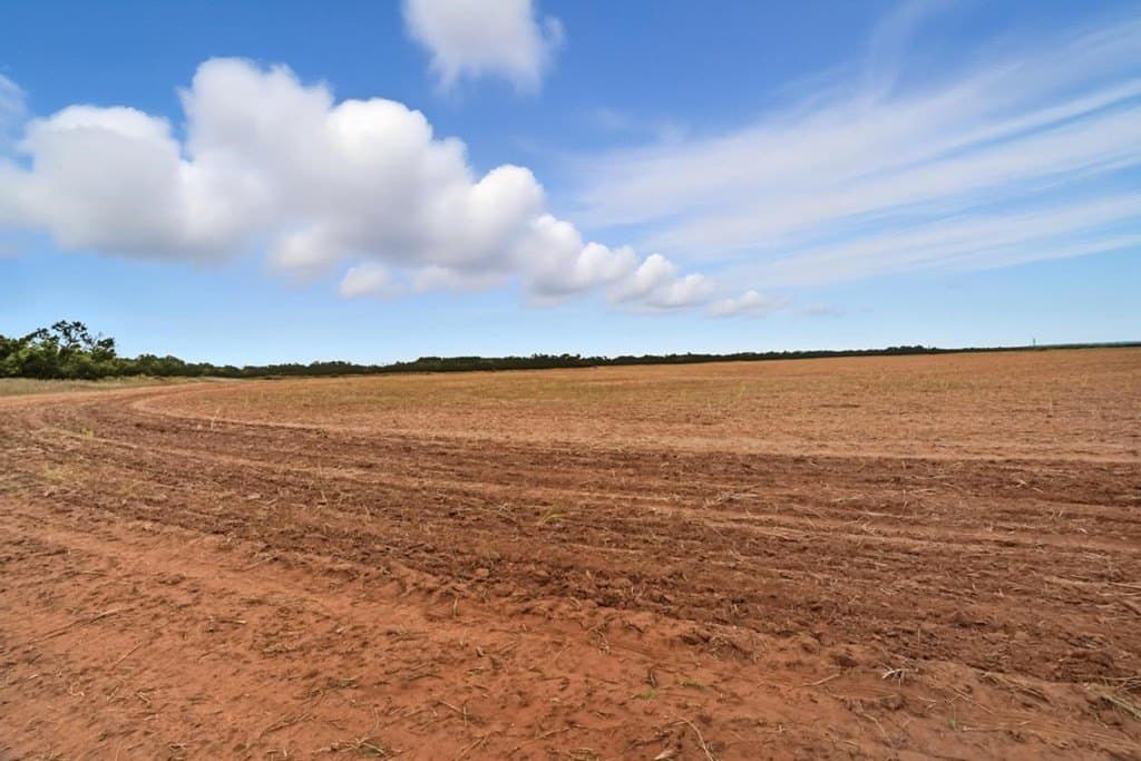 86.68 acres in Nolan County - photo 8