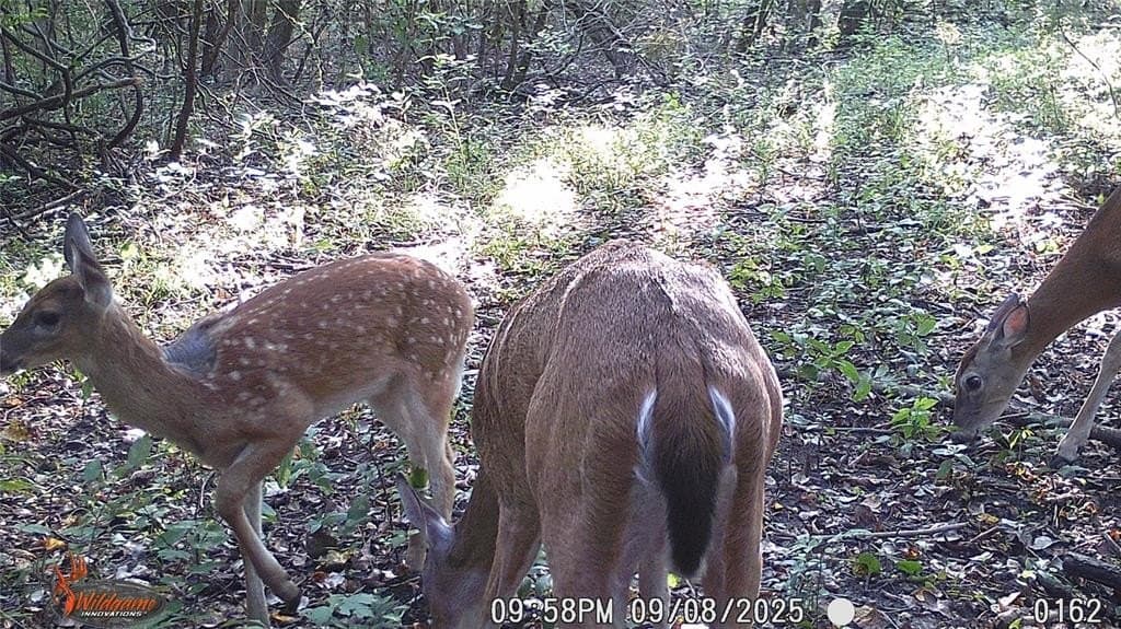 274.48 acres in Collin County - photo 34