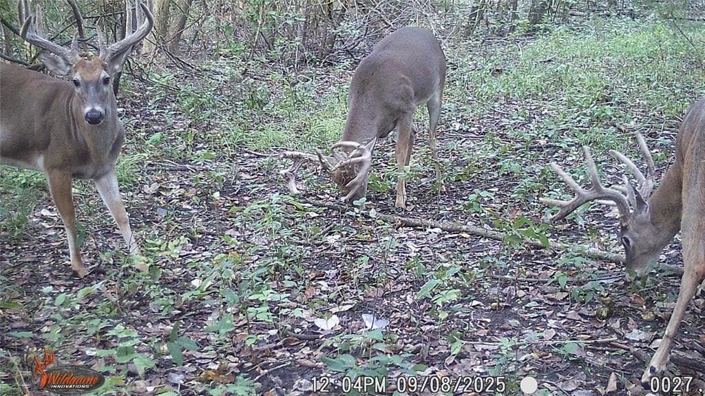 274.48 acres in Collin County - photo 29
