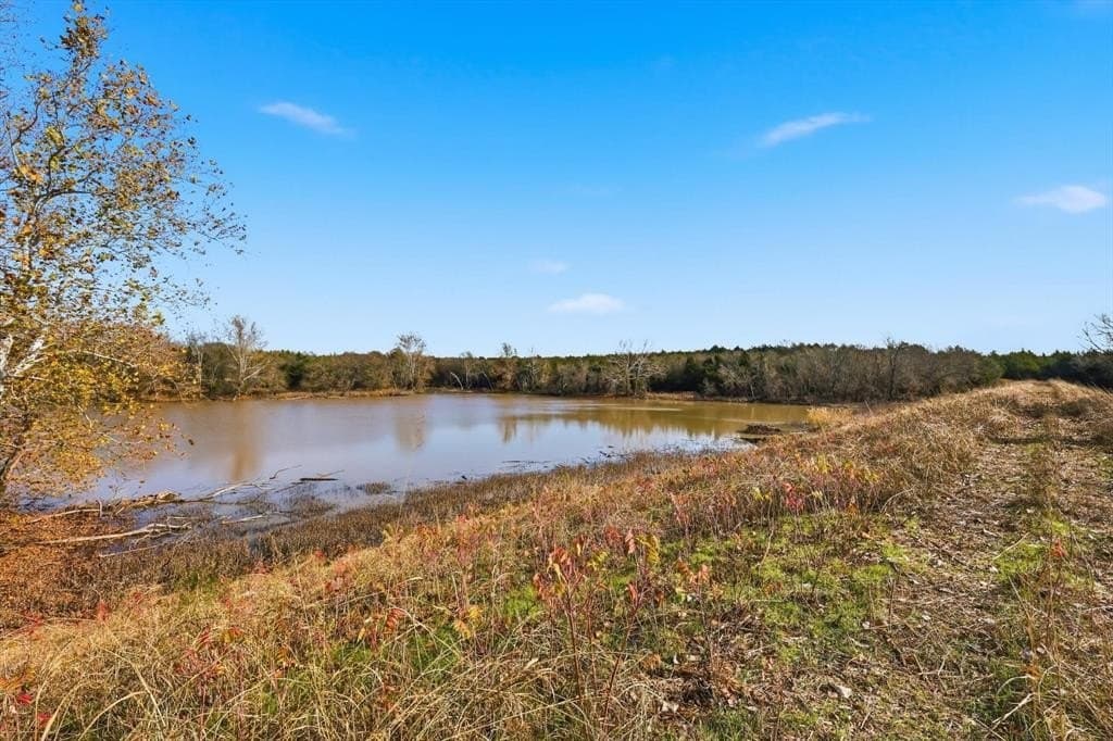 274.48 acres in Collin County - photo 9