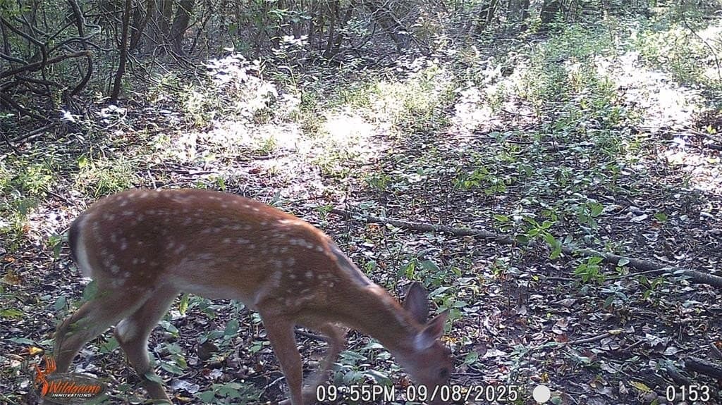 274.48 acres in Collin County - photo 32