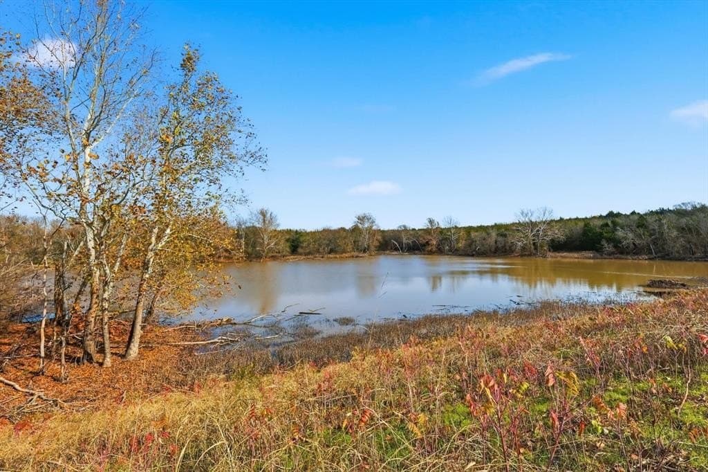 274.48 acres in Collin County - photo 10