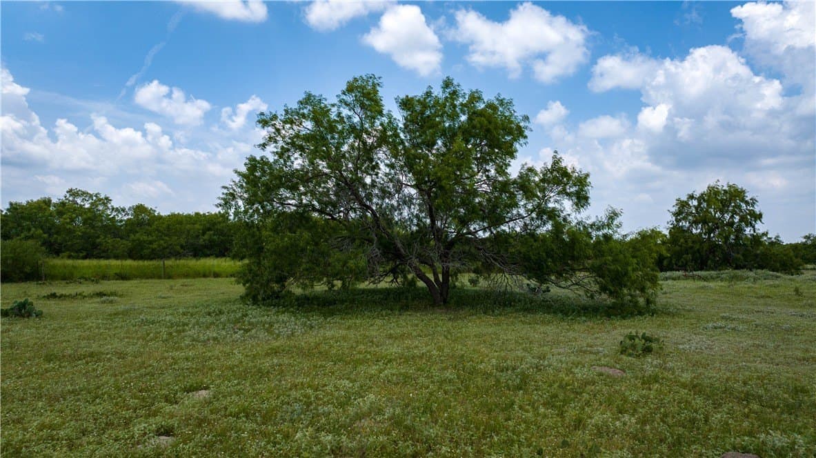 8.6 acres in Kleberg County - photo 9