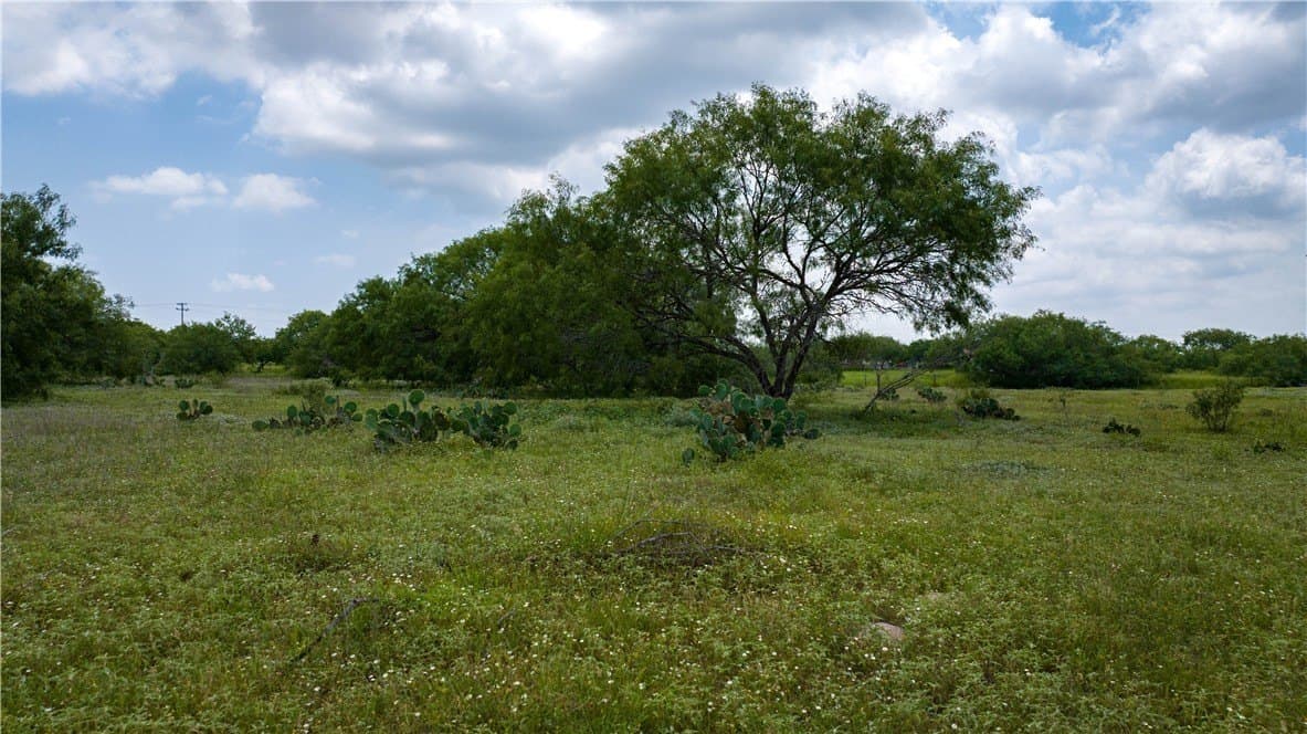 8.6 acres in Kleberg County - photo 13