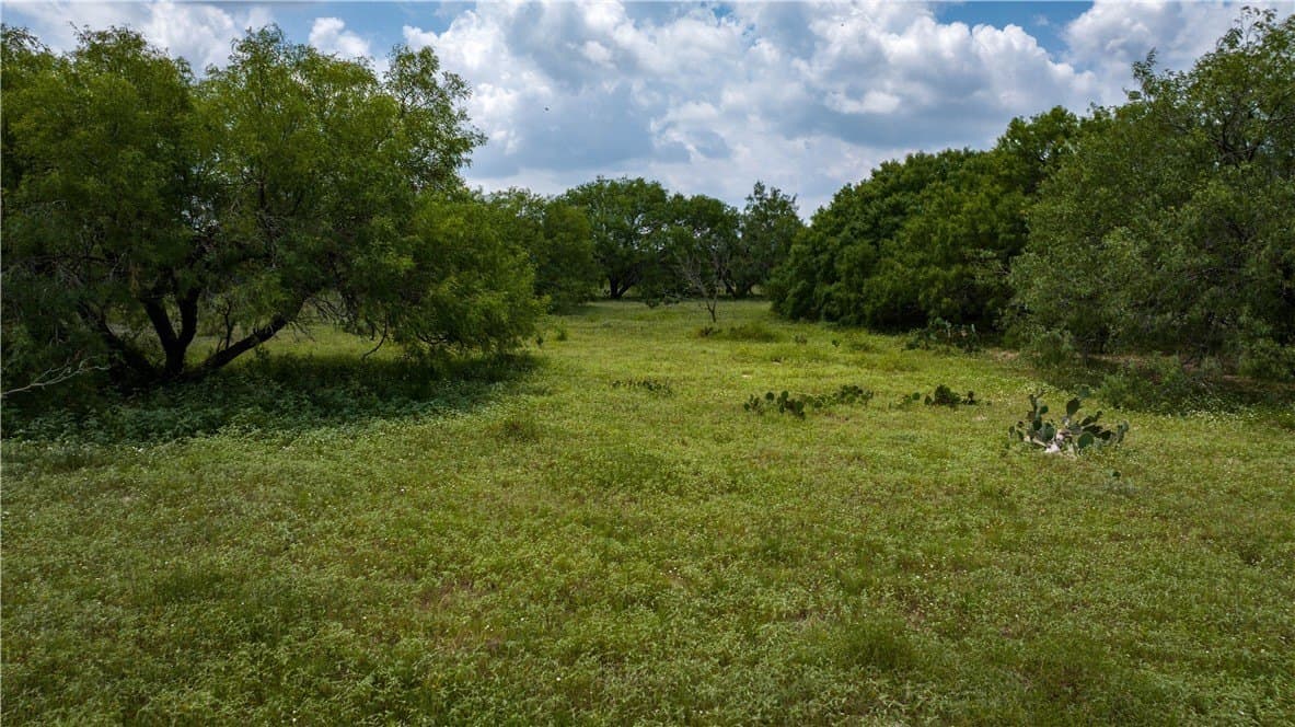 8.6 acres in Kleberg County - photo 15