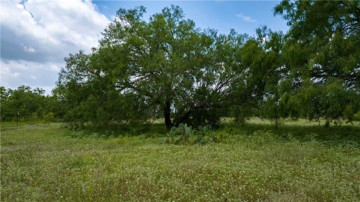 8.6 acres in Kleberg County - photo 29