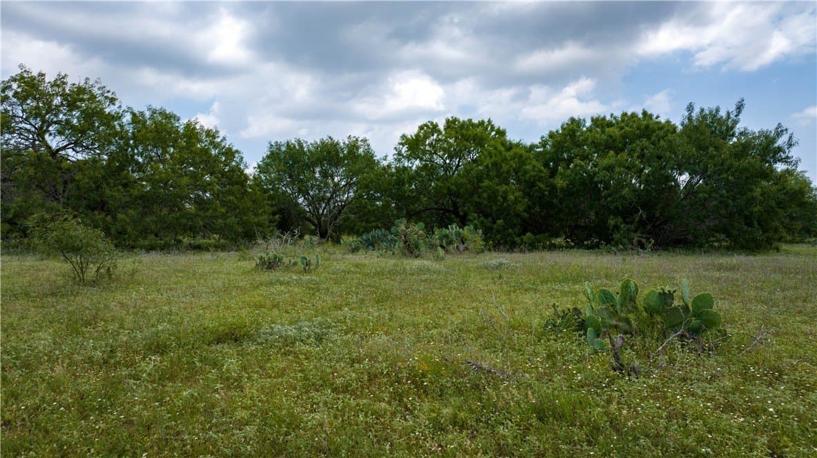 8.6 acres in Kleberg County - photo 14