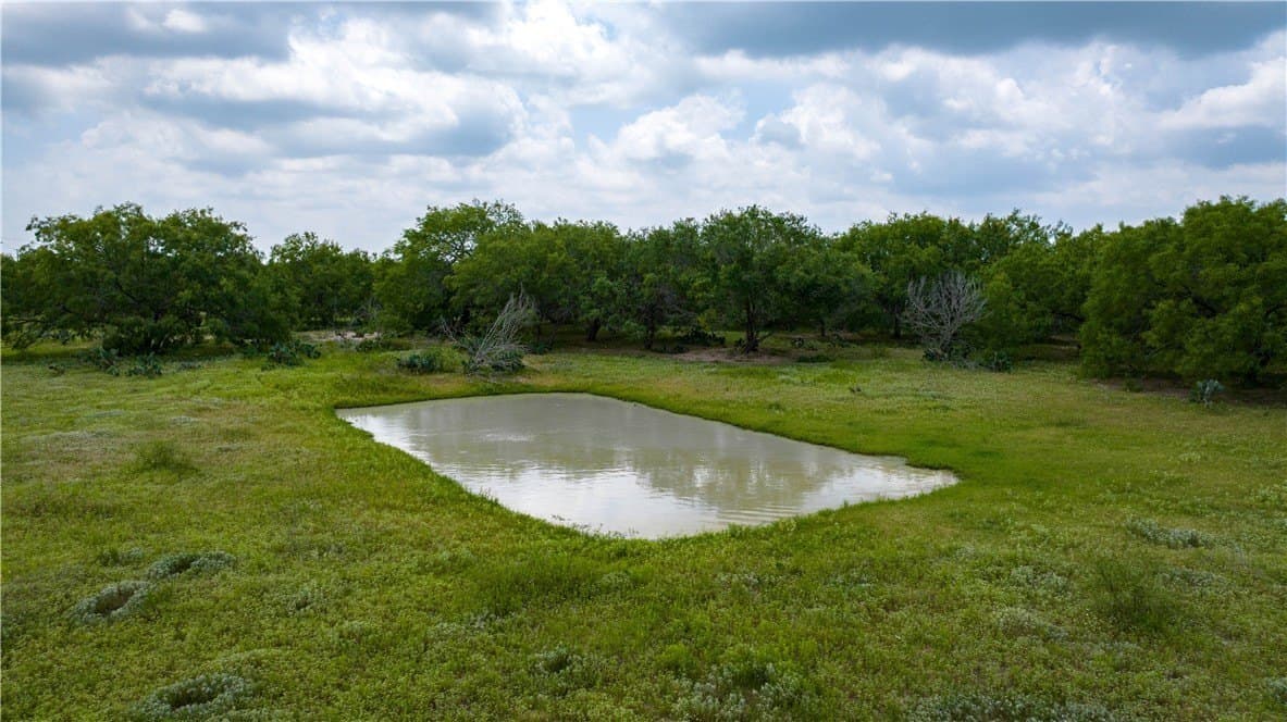 8.6 acres in Kleberg County - photo 5