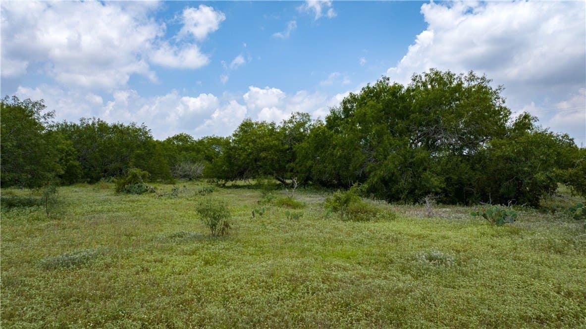 8.6 acres in Kleberg County - photo 37