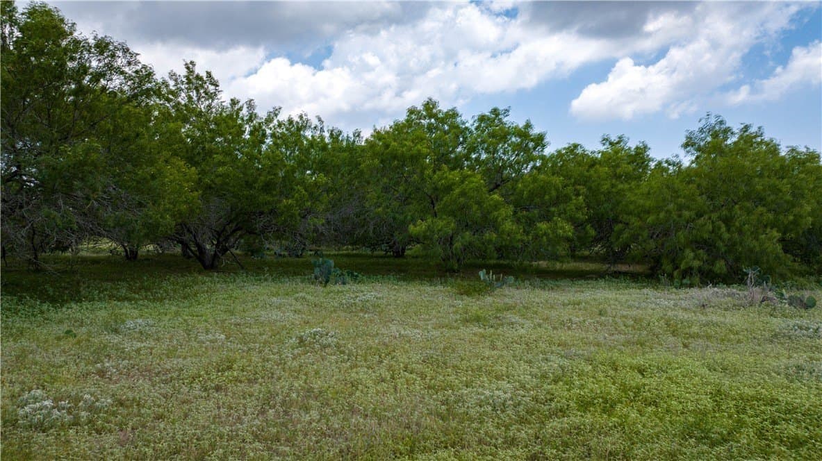8.6 acres in Kleberg County - photo 30