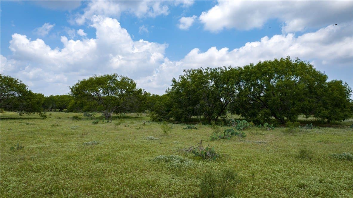 8.6 acres in Kleberg County - photo 21