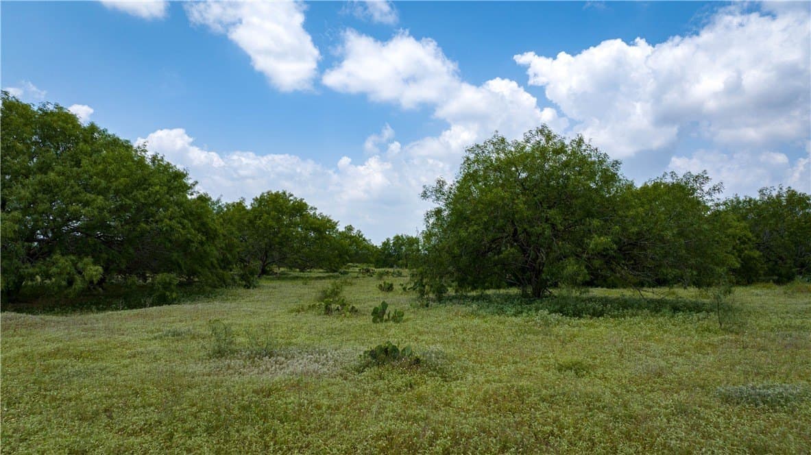 8.6 acres in Kleberg County - photo 36