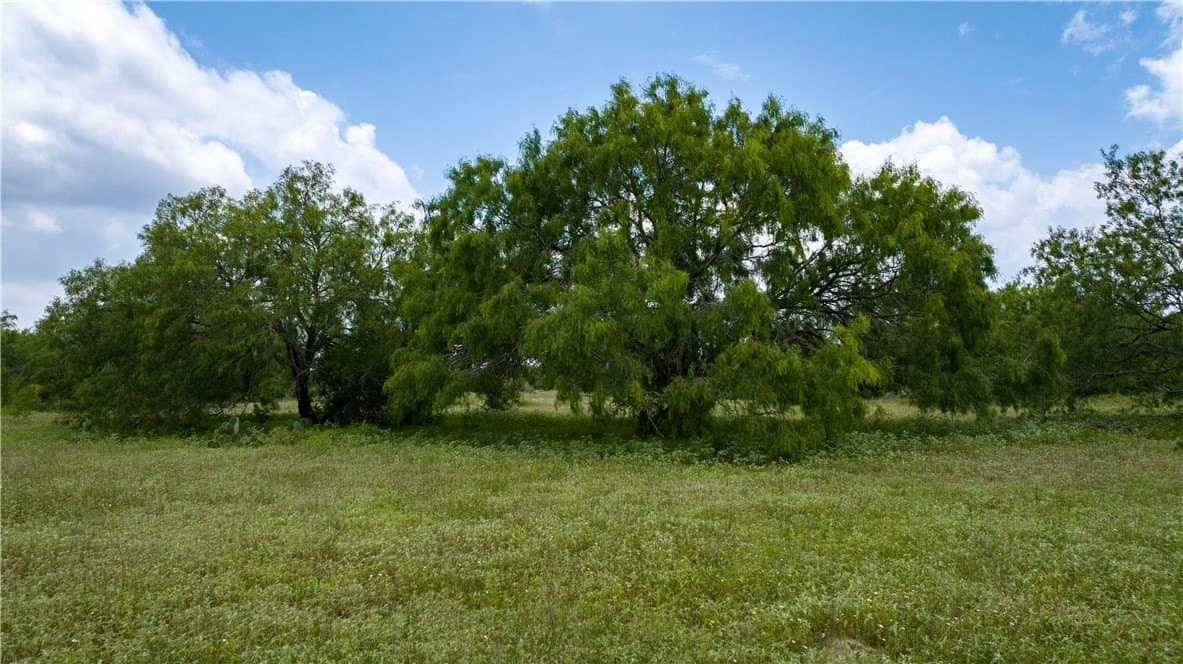 8.6 acres in Kleberg County - photo 28