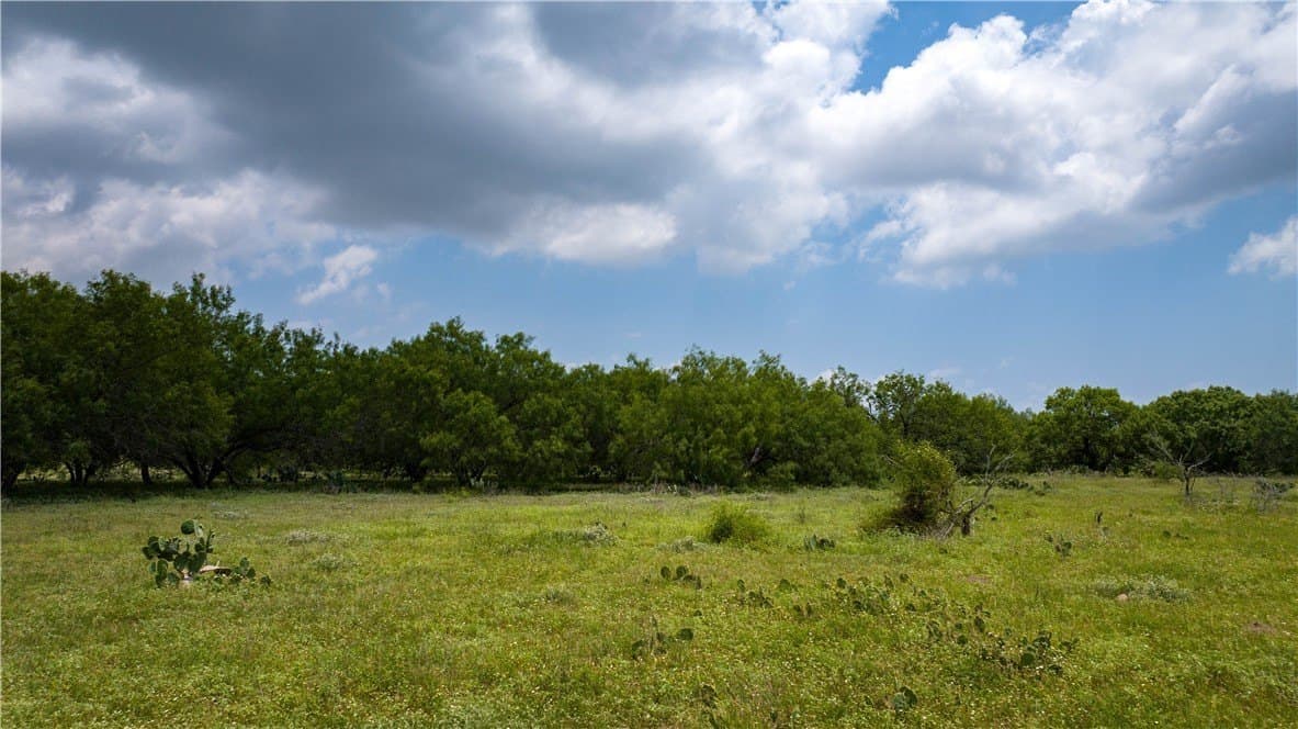 8.6 acres in Kleberg County - photo 22