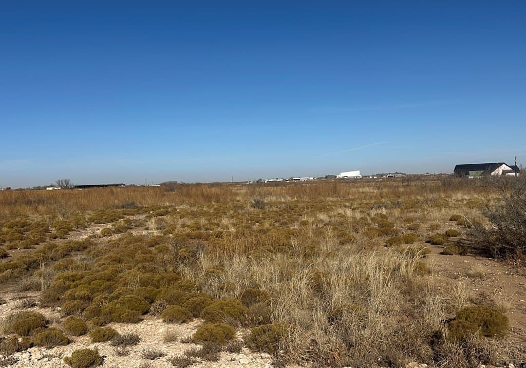 18 acres in Gaines County - photo 2