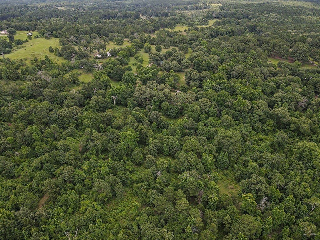 44.62 acres in Anderson County - photo 41